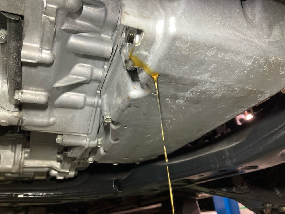 日野市　多摩市　八王子市　ステップワゴン