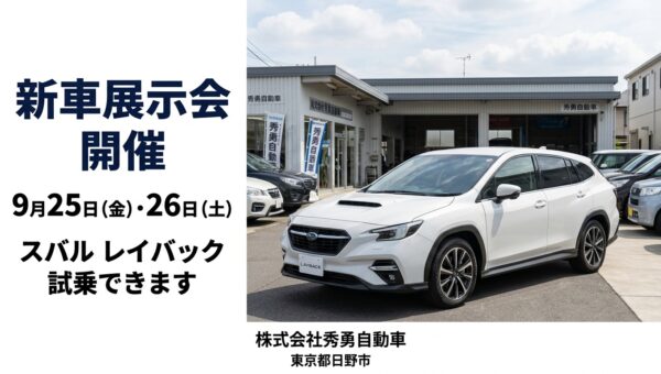 日野市　多摩市　八王子市　レイバック